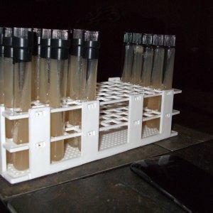 yeastbank_001