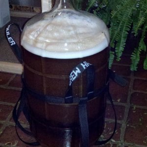 FirstEverBatch-Readytogoinmyfermentationbox