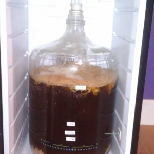 PilsnerIntheNewFermentationChamber