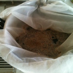 22512BrewDay--ArrogantBastardAle