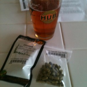 22512BrewDay--ArrogantBastardAle