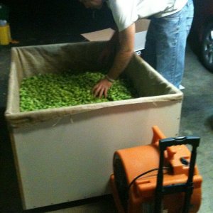 steadfasthopfarm2011