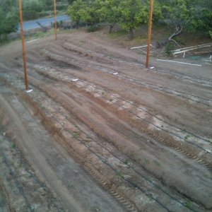 steadfasthopfarm