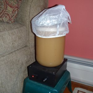 YeastStarter