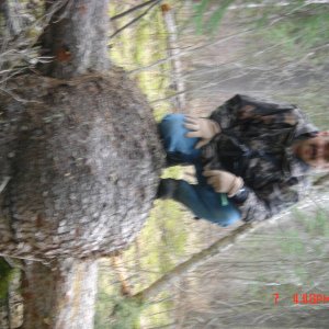 Burl_1