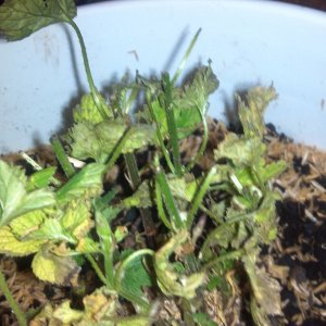 2012-04-02_06-53-00_790