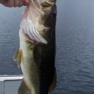 2011-10-22_11-04-04_592