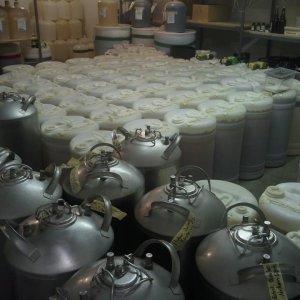 The Cold Room!!