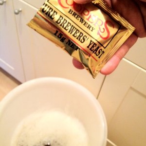 Pitching the yeast
