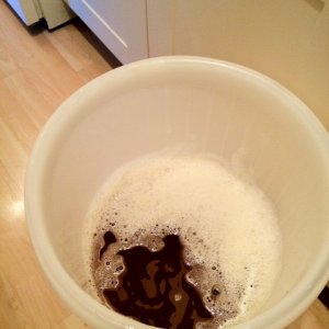 Mixed Wort