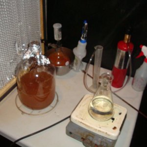 2 liter starter