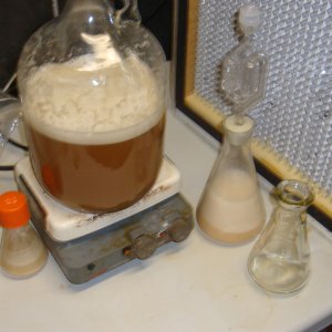 2 litter starter