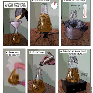 How to Make a Yeast Starter