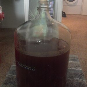 No Sham Shamrock Irish Red Ale