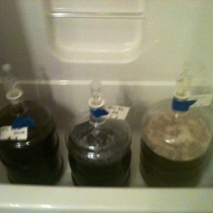 Brew