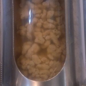 WLP001 Yeast Clumping
