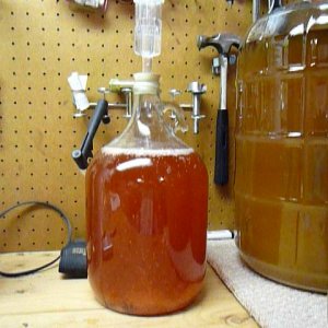 Raspberry ice tea fermenting