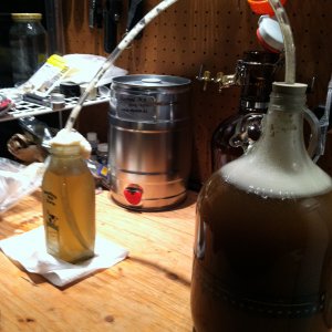 Amber ale fermenting