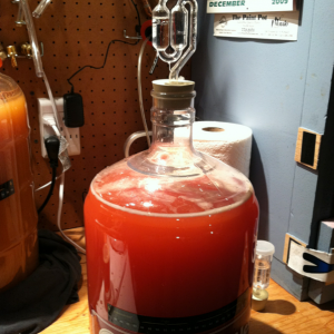 Raspberry Melomel