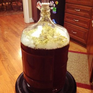 Stamp Creek Pale