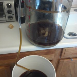 Cock's Comb Ale v1.0