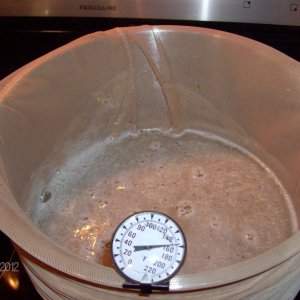Beginning of the mash