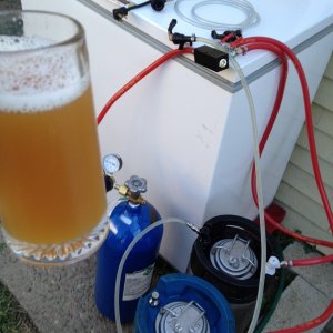 freezer test