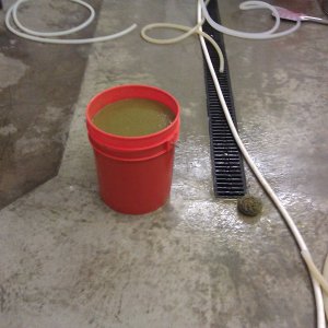First brewday