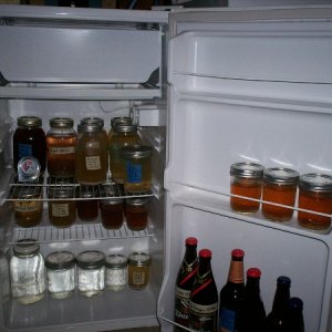 Yeast Fridge