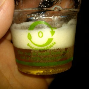 BeerFest Boston