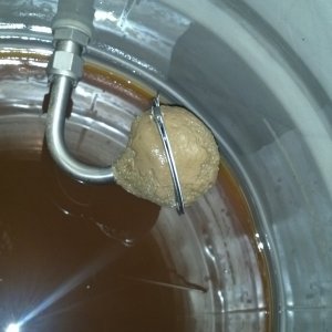 tea ball