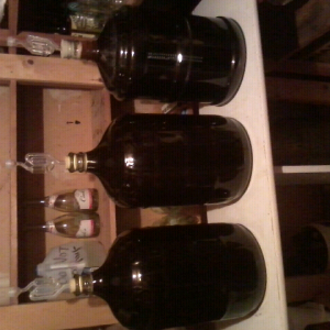 porter to the left and a imperial stout middle and right