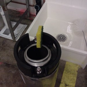 cleanin sponge