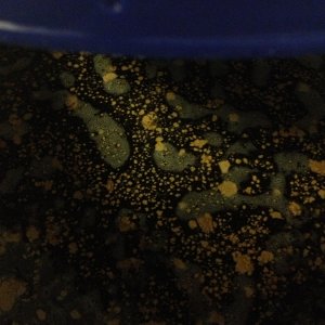 Whats wrong with this beer