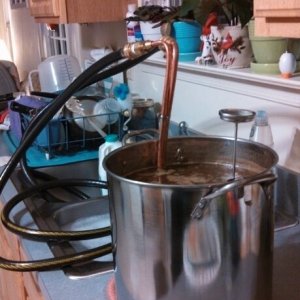 Cooling my stout