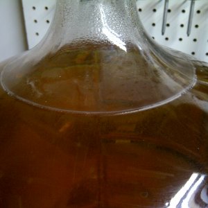 Whitish substance on surface of cider