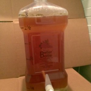 Farmhouse Ale 3/13