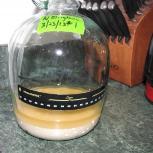 Recovered yeast #1