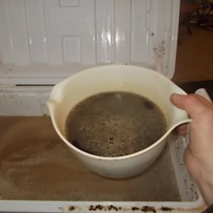 2013 Black Ale Vorlauf