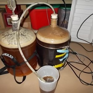 Willamette Smash Ale and Black IPA