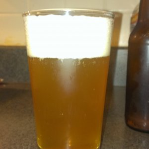 Tropical Blond Ale