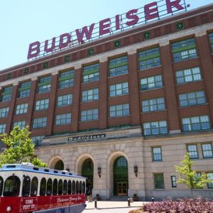 BudweiserTrolly FreeTour&FreeBeer