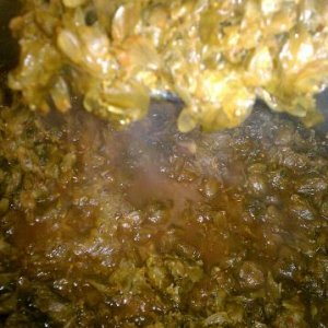 hop soup anyone? 13oz of hops right there.