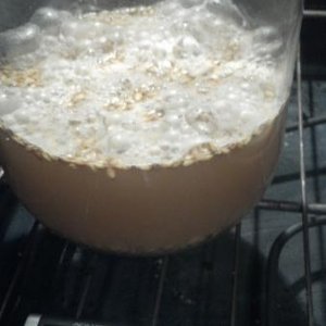 Sour Wort - 8 oz grains into o1 Liter 1.030 starter from DME and Simple Sugar