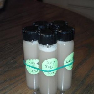 Yeast bank