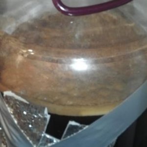 Belgian Dubbel fermenting