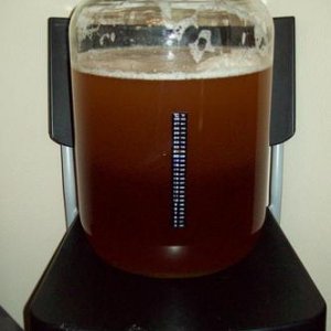 Pitched Lavlin EC-1118 on March 4, 2012 at approximately 6:00 p.m.  This is shortly after.  The foam is not krausen.  Just foam from shaking the juice and dextrose to mix.
