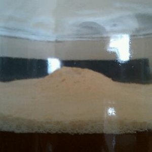 Krausen on the Apfelwein about 18 hours after pitching the yeast.  This died down about 4 hours later.
