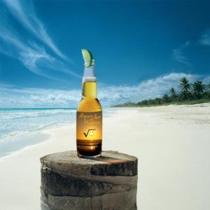 beer on beech