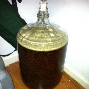 american ale (extract kit from oak barrel)